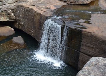 Dharawal National Park