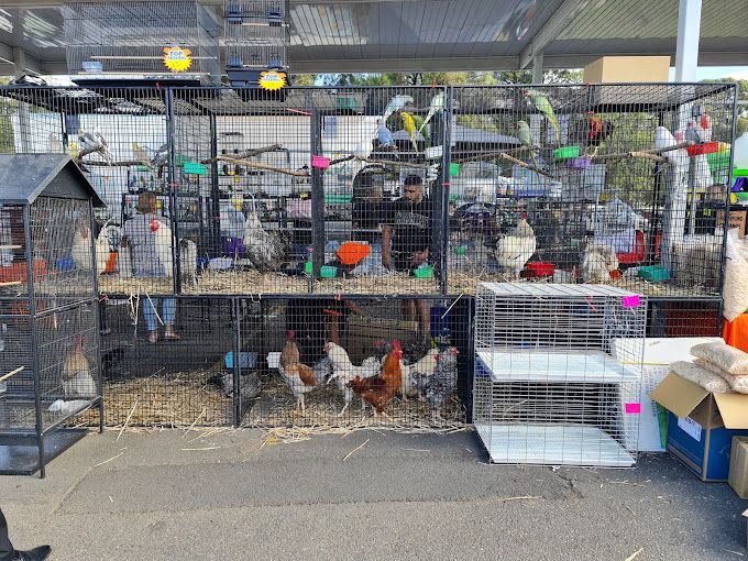 Fairfield Markets